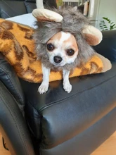 Sombrero para mascotas ajustable para emulación de perros y gatos, pelo de León, melena, orejas, gorro para la cabeza, bufanda para mascotas, ropa de fiesta de Halloween y Navidad