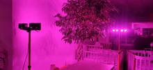 Phyto-Lamp Flower-Growth-Lighting Seedling LED Cob-Chip Indoor-Plant Full-Spectrum 50W