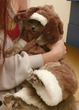Pet-Dog-Clothes Jacket Puppy Coat Small Dogs Christmas Chihuahua Fleece Winter Warm Autumn