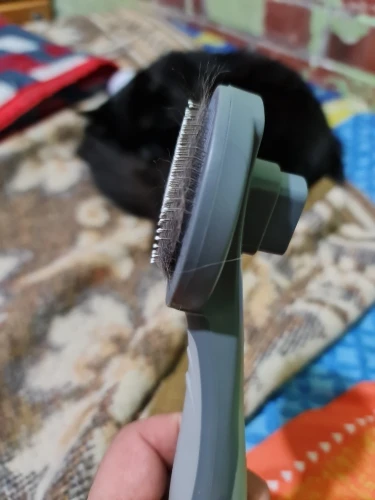 Self Cleaning Pet Hair Brush photo review