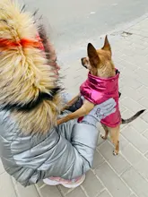 Coat Jacket Vest Bulldog-Clothing Puppy Dogs-Chihuahua French Waterproof Large Winter