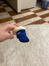 Botas impermeables para perros, zapatos para perros, antideslizantes, para cachorro, gato, lluvia, nieve, calzado para perros pequeños, Chihuahua, 4 Uds.