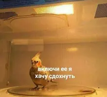 Nueva moda clásica diabólico Vintage ojo anillo de dedo ojo Punk bisutería gótica Halloween anillo de regalo