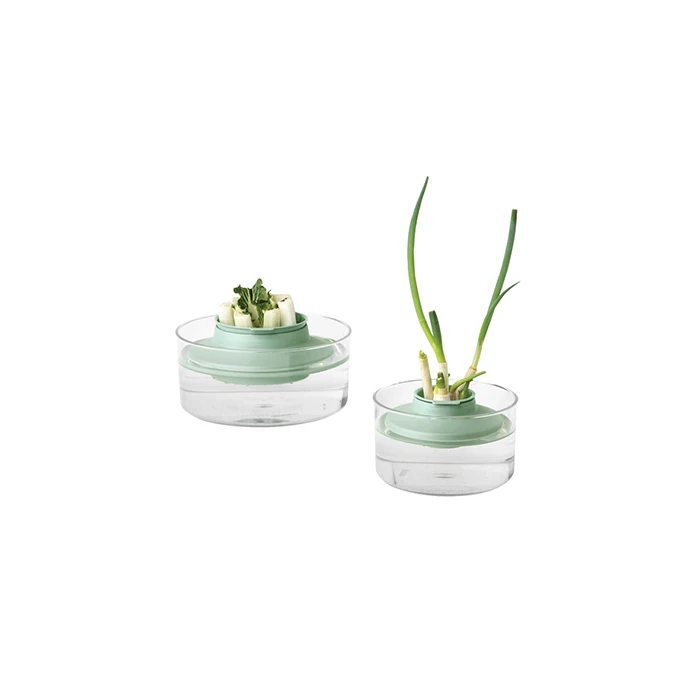 Herbs and Vegetables Regrow Kit, TASTY+ - Dark Grey - 8710755124402 Brabantia_96dpi_1181x787px_E_NR-15472