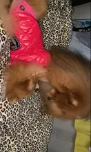 New Arrival Noble Pet Dogs Winter Vest Coat Fur Collar Russia Classic Dogs Clothing Soft