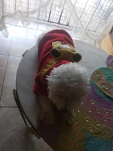 Overalls Sweaters Jacket Pet-Costume Yorkies Dogs Coat Small 