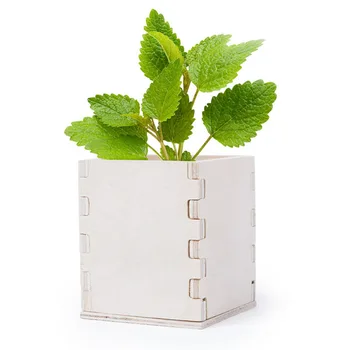 

Sowing Set Mint 146223