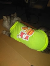 Camiseta con estampado para mascotas, chaleco de algodón para cachorros y gatos, ropa de Pug, Disfraces para perros pequeños