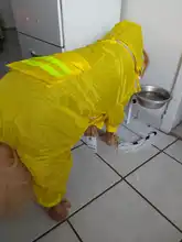 Jumpsuit Jacket Pet-Cloak Rain-Coat Labrador HOOPET Golden Retriever Waterproof Dogs