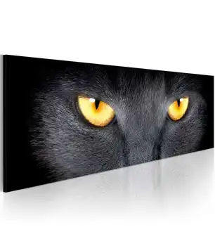 

Picture-Look into my eyes.