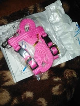 Arnés y correa para cachorros y gatitos, cinturón de tracción ajustable para animales, cuello Halter para gatos y gatitos, sin cartón