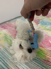 Pet-Toys Dog-Ball Rubber Pet-Tooth-Cleaning Small Dogs Chewing 