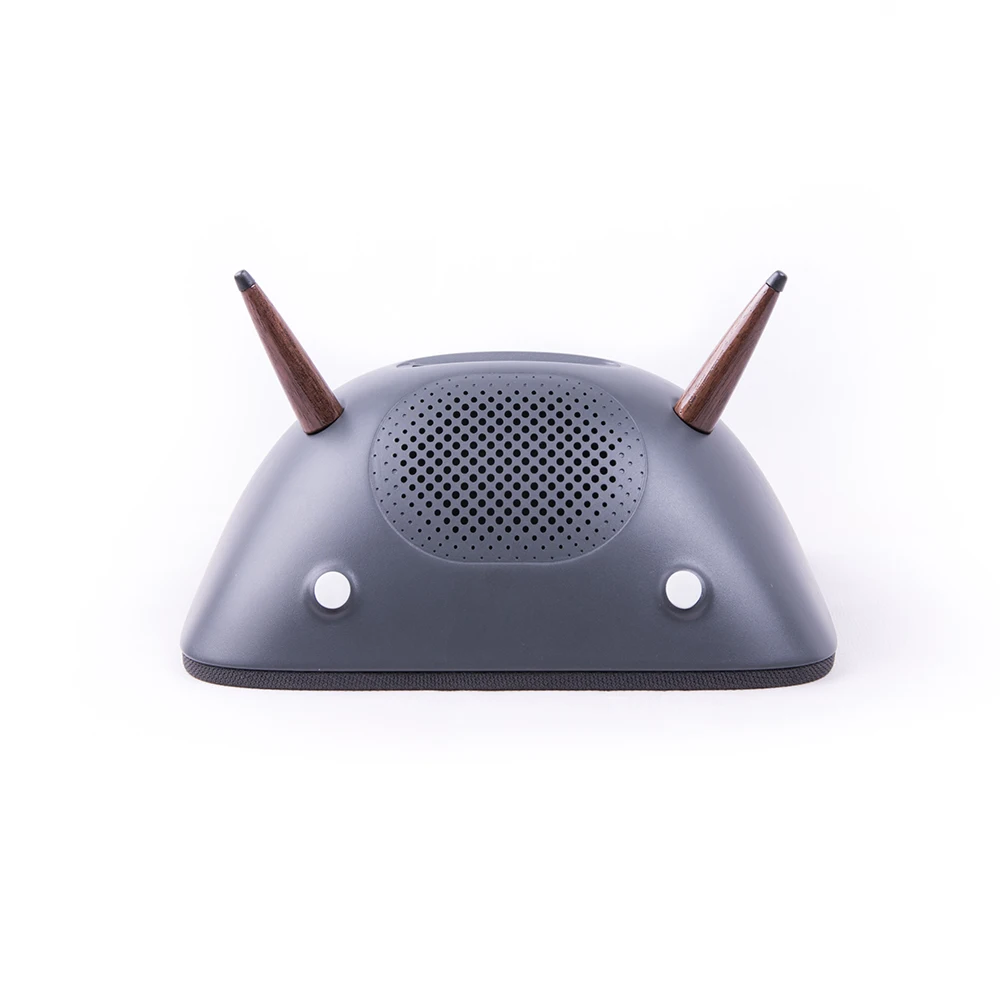 google home internet radio