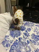 Dogs-Pajamas Clothing Shirt Puppy-Jumpsuit Pomeranian Chihuahua Dog-Coat Pet-Dogs Small