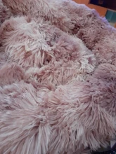 Donut Macaron-cama de peluche de imitación para mascotas, cama suave para perro, gato de peluche, alfombrilla para perros grandes, casa de trabajo