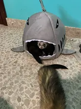 Bed Cage-House Hamster Hedgehog Rodents-Supply-Accessory Ferret Guinea-Pig Small Pet