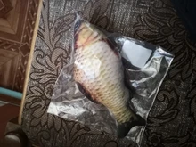 Pet Soft Plush Creative 3D Carp Fish Shape Cat Toy Gifts Catnip Fish Stuffed Pillow Doll