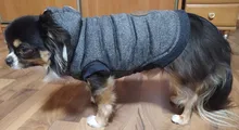 Pet-Dog-Clothes Jackets Coat Pets-Products Puppy-Cat-Clothing Pug-Outfits Small Dogs