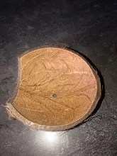 Nest Hamster-House Hiding-Cage Coconut-Shell Small Animal Reptiles Cave Spider Natural