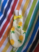 Pájaro loro pañal Cockatiel palomas mascota mediana grande aves traje de vuelo ropa mascotas pájaros heces bolsillo