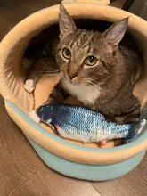 Muñeco eléctrico de peluche con forma de pez en movimiento para niños, juguete interactivo con carga USB para mascotas