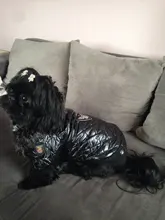 New Arrival Noble Pet Dogs Winter Vest Coat Fur Collar Russia Classic Dogs Clothing Soft