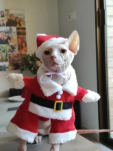 Christmas Cat Clothes Halloween Clothes For Cats Costume New Year Outfit Pet Cat Clothes