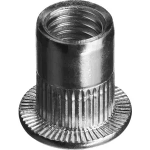 

Rivets threaded bun M10 150 PCs with notches (31317-10)