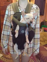 Backpack Carrier Cat-Accessories Front-Chest-Holder Chihuahua Puppy Large-Bags Pet-Dog