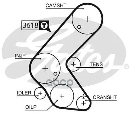 Ремень Грм Opel Astra G 1.7td 00-, Corsa C 1.7d 00-, Meriva 1.3, 1.7 03- Gates арт. 5563XS