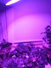 Bombilla Led para cultivo, lámpara de crecimiento hidropónica Phyto B22, E27, MR16 de espectro completo, UV de 220V, planta E14, plantones de flores Fitolamp GU10
