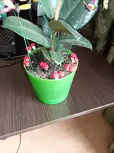 Nueva gran oferta 10 Uds 2cm Mini setas en miniatura hadas jardín terrario con musgo decoraciones artesanales de resina juego de