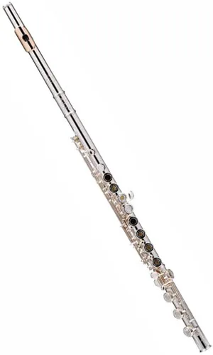 Флейта Powell Sonaré PS55BEF-40613-2-0 | Спорт и развлечения