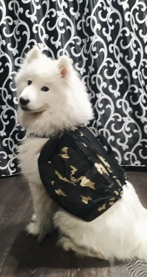 Customer photo