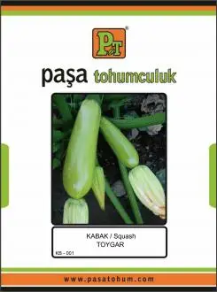

KABAK TOHUMU- TOYGAR 10 Gr.