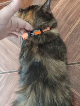 Etiquetas de identificación personalizadas para perros y gatos, grabadas, TEL. Etiquetas para el cuello para mascotas, Gato de acero inoxidable con nombre, accesorios para perros
