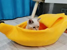 Bed House Kennel Pet-Basket Dog-Cushion Cat-Mat Cat-Supplies Banana Cat Cozy Warm Funny