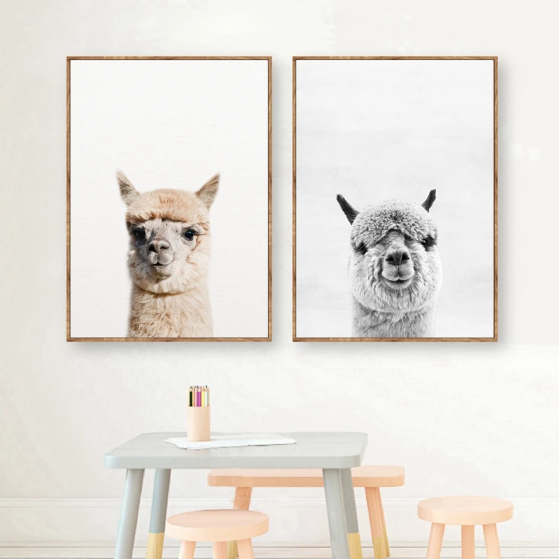 Baby Animal Alpaca Wall Art Canvas Print Nursery Decor