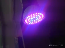 Phyto-Lamp Plant Light Grow-Bulb GU10 Canling Indoor Hydroponics Full-Spectrum 220V E27