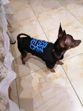 Camiseta transpirable de verano para perro, chaleco de dibujos animados para mascota, disfraces de Bulldog Francés, Chihuahua, abrigo para perro pequeño y mediano