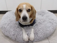 Cama de perro caliente de lana ronda perro perrera casa larga felpa invierno mascotas camas para perros medianos grandes perros gatos cojín del sofá suave esteras