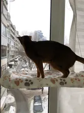 Pet Hammock Bearing Beds-Supplies Seat Hanging-Beds Detachable Pet-Shelf Window-Mount