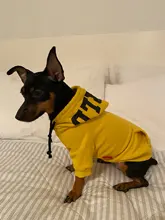 Dog Hoodies Jacket Costume Coat French Bulldog Chihuahua Winter for Pets-Clothing