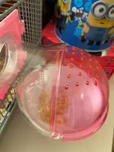 Cage-Box Toilet-Hamster Acrylic-House Sand-Room Bath Mouse-Gerbille Small Pet-Supplies