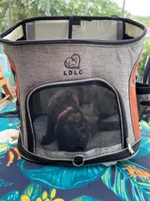 Pet-Carrier-Bag Cat-Backpack Cat Travel Shoulder-Bag Pet-Supplies Cats Dogs Small Outdoor
