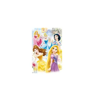 

DISNEY PRINCESS POSTER-group