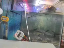 Timer-Switch Weekly-Programmer 220v-Time-Relay Digital Countdown CN101A Light-Fan Microcomputer