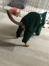 Coat Jumpsuit Clothing Puppy-Fleece Hoodie Apparel Pet-Dog Winter New Warm Velvet