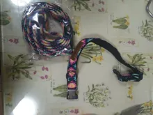 Collar para perro personalizado de nailon, con grabado impreso, identificativo, para cachorros, pequeños, medianos y grandes