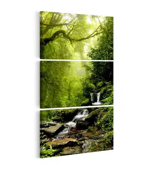 

Picture-Brook among Trees